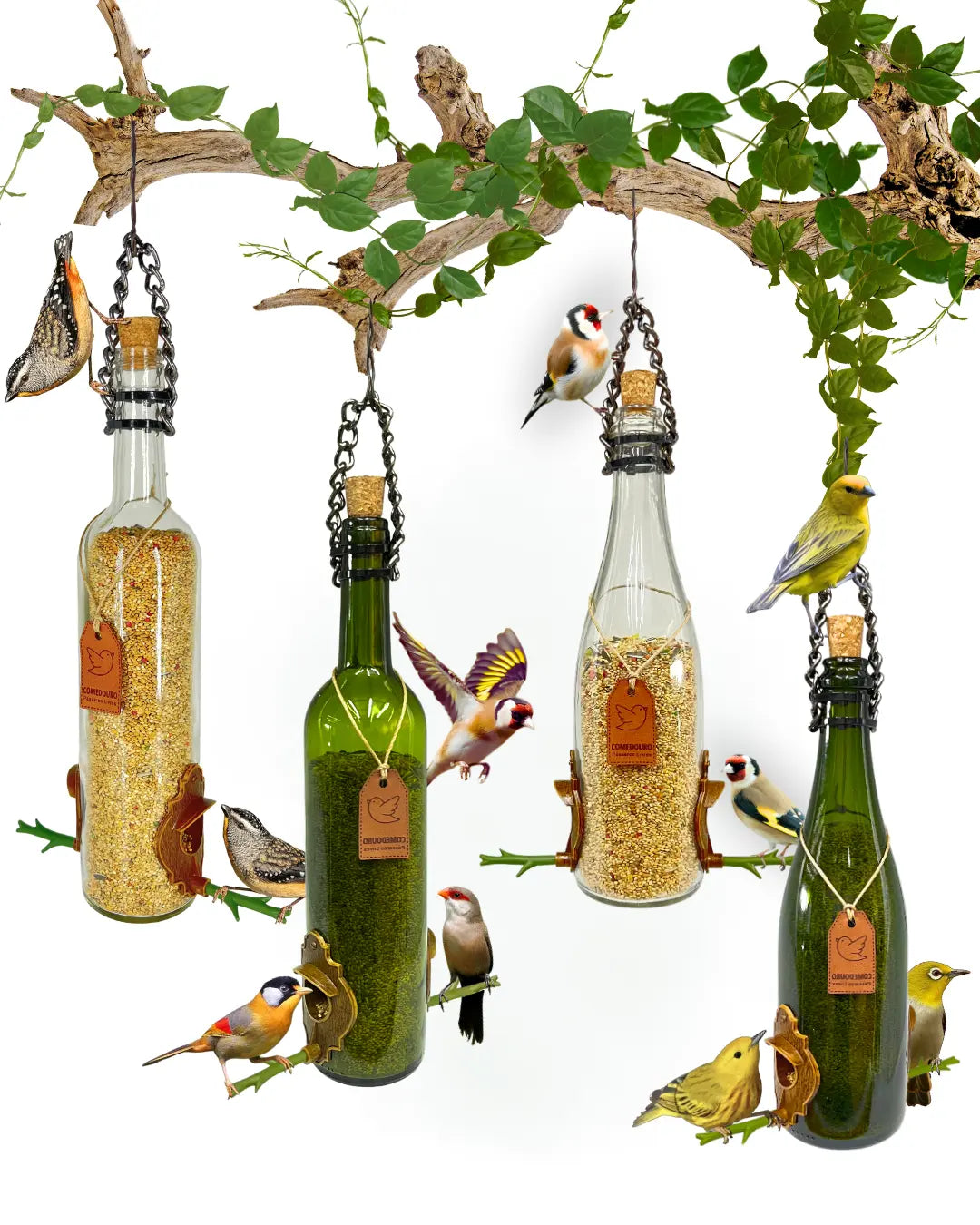 KIT 4: Comedouros Champanhe e Vinho