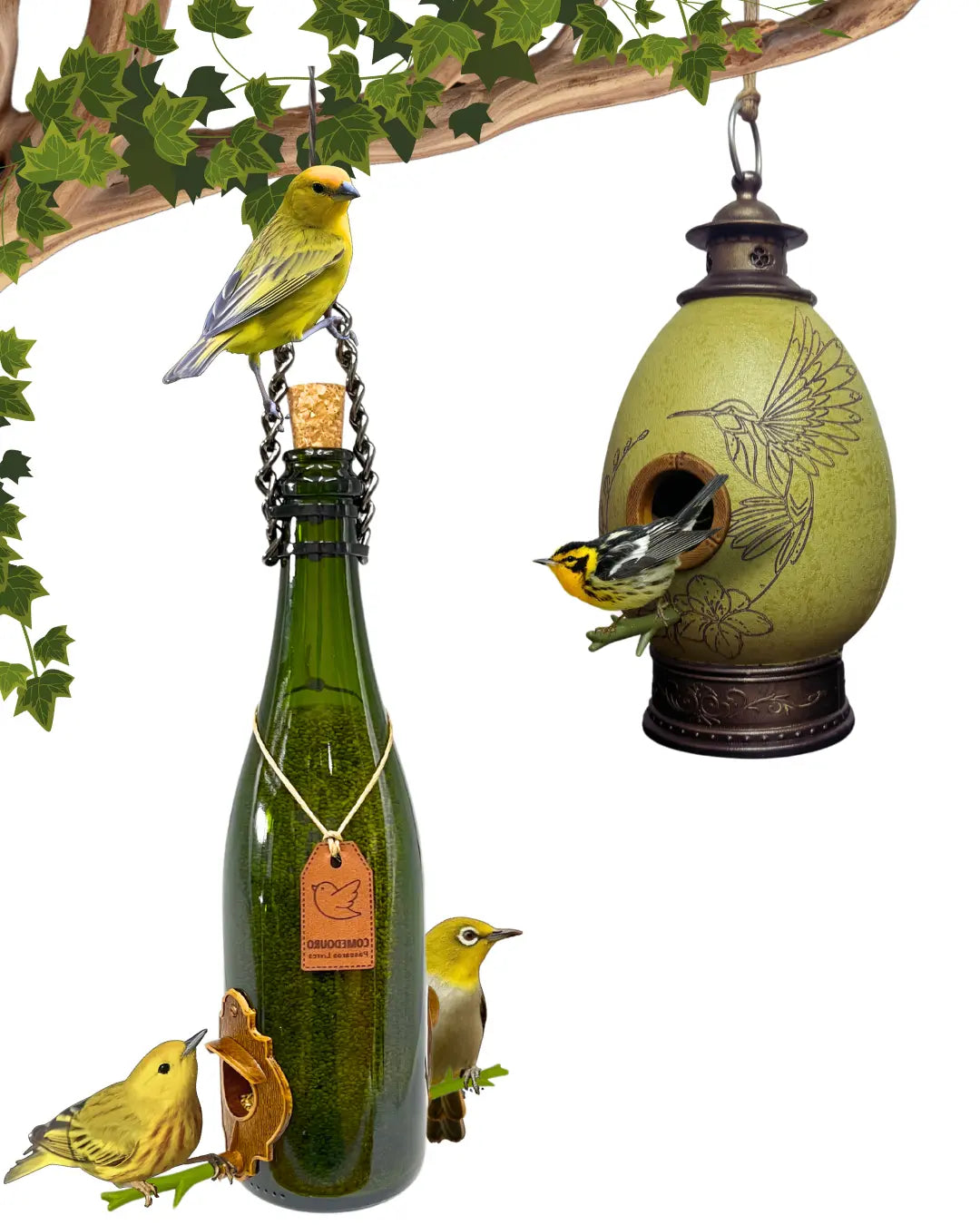 CasaOvo Beija-flor Verde + Comedouro Champanhe Verde