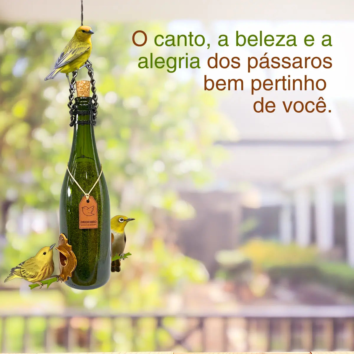 Kit 9: 7 CasaOvo Diversas + 2 Comedouros Verde e Branca