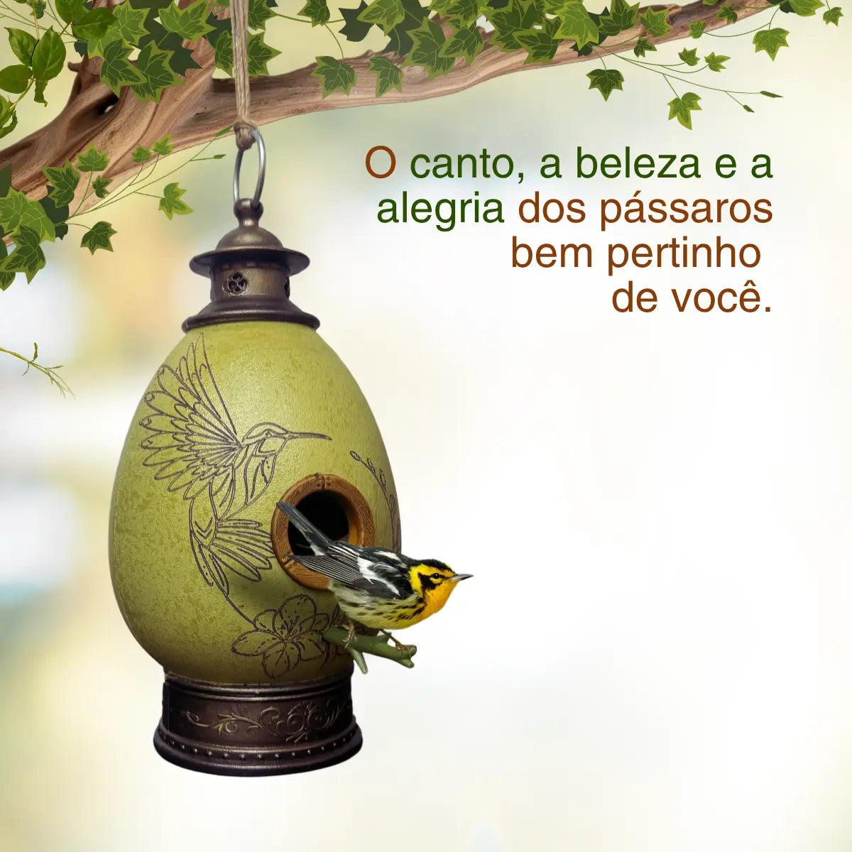CasaOvo Beija-flor Verde