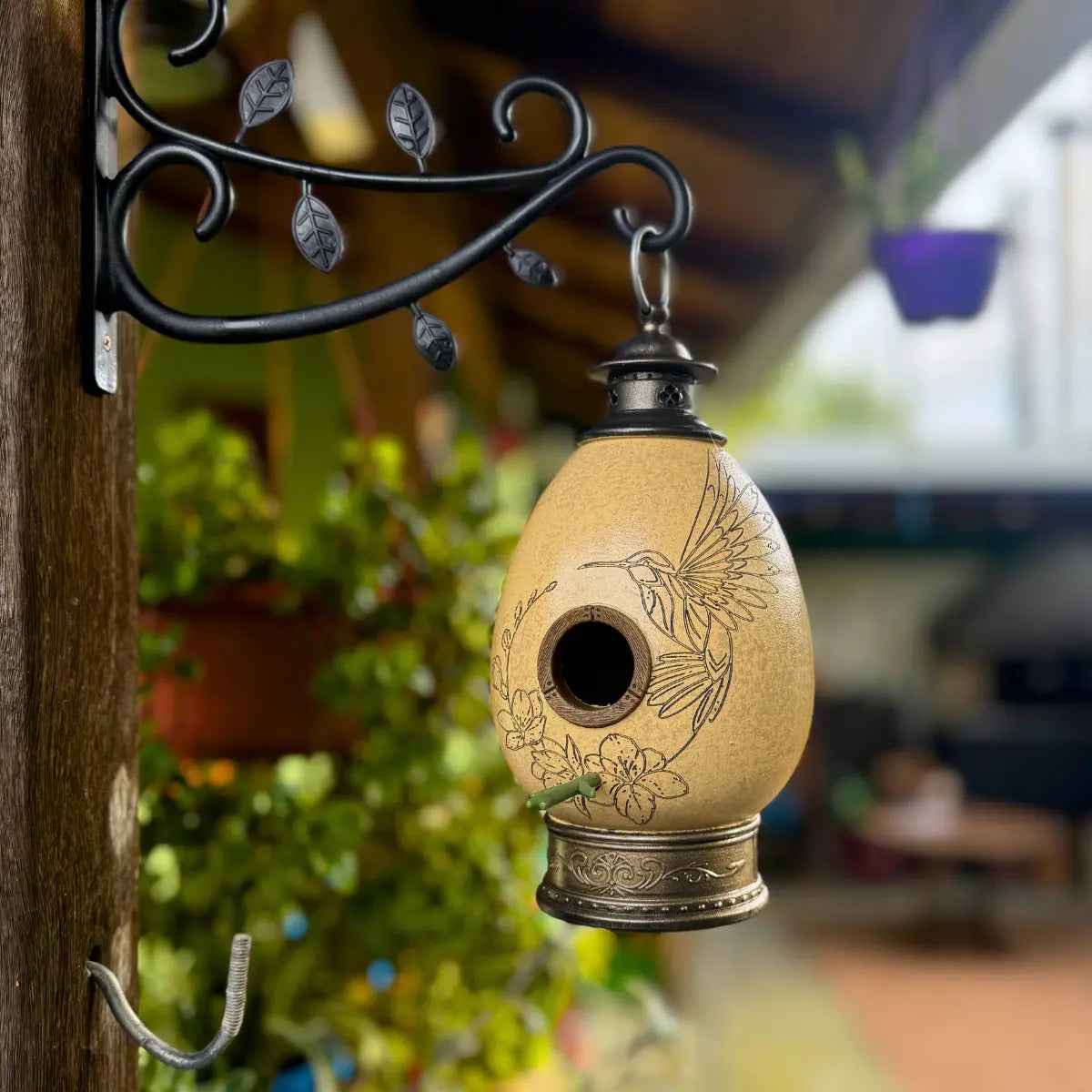 CasaOvo Beija-flor Marrom + Comedouro Champanhe Verde