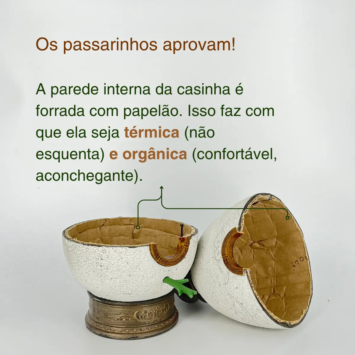Kit 3: CasaOvo + Comedouro Vinho Branco
