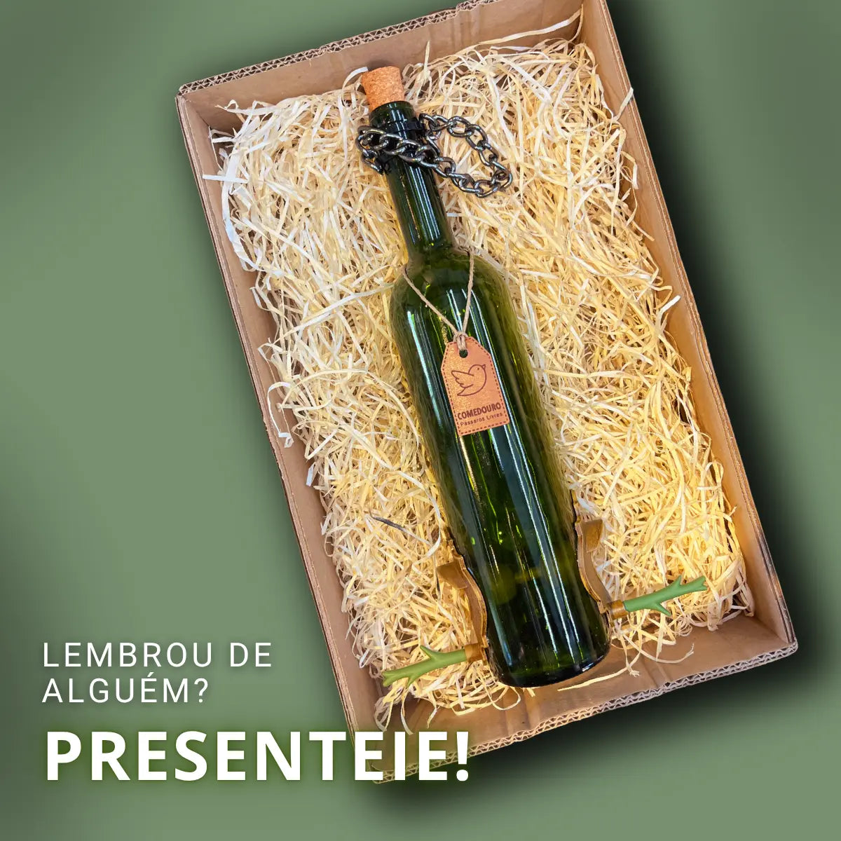 Kit 3: CasaOvo + Comedouro Vinho Verde