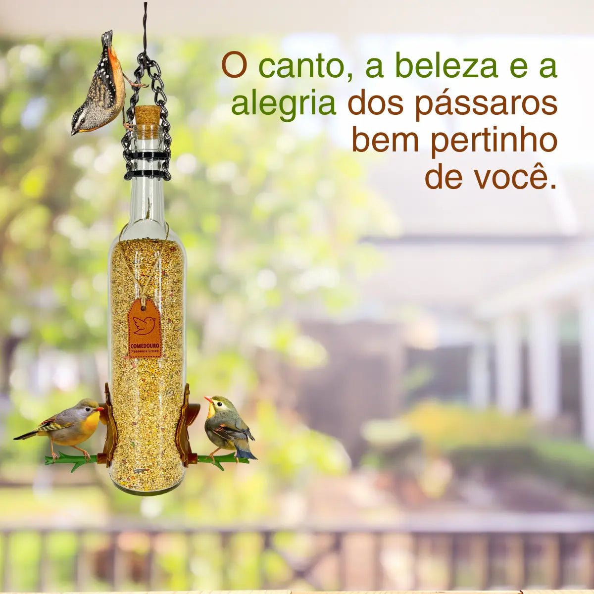 Kit 3: CasaOvo + Comedouro Vinho Branco
