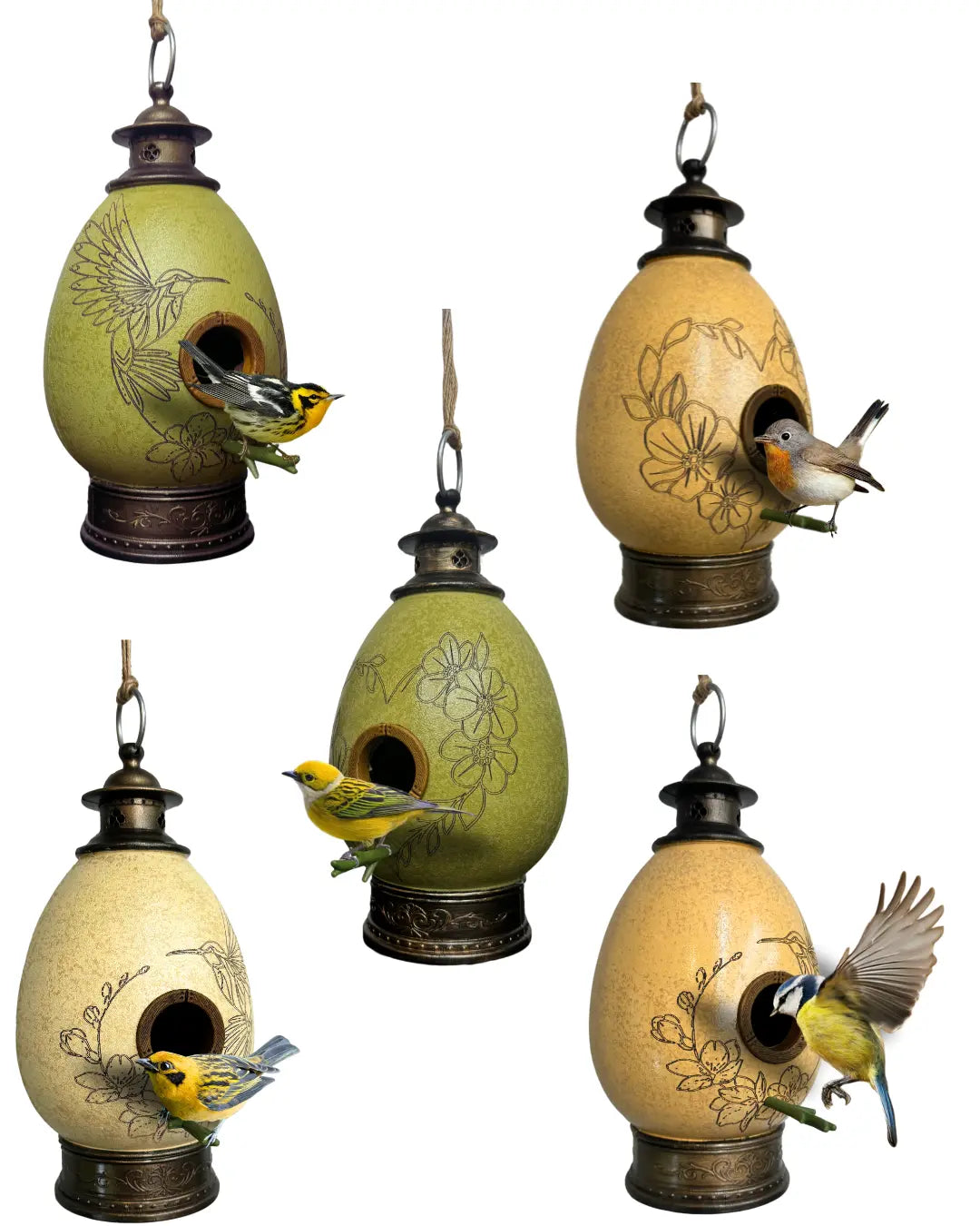 Kit 5 CasaOvo Diversas: Verde e Marrom