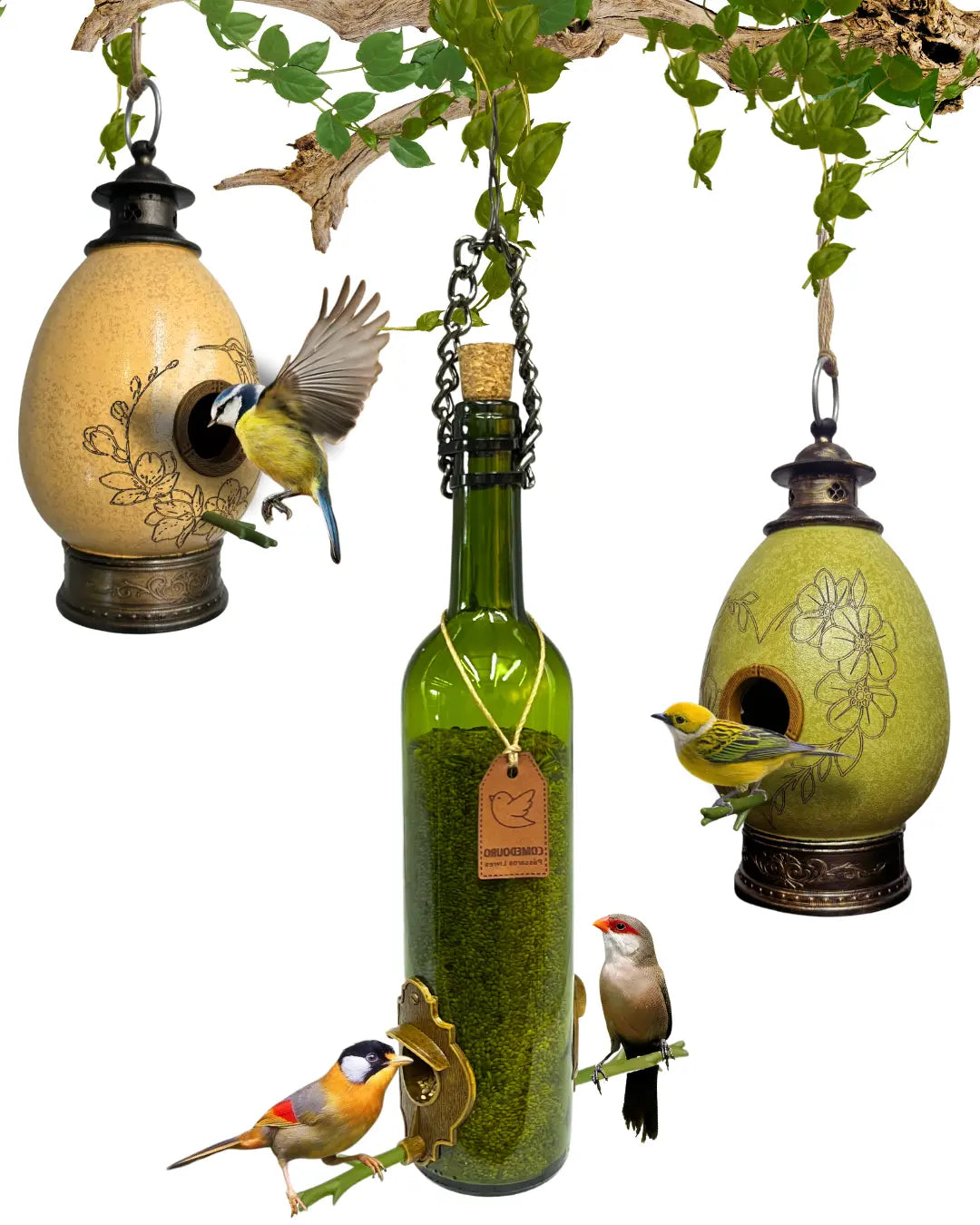 Kit 3: CasaOvo  + Comedouro­­  Vinho Verde