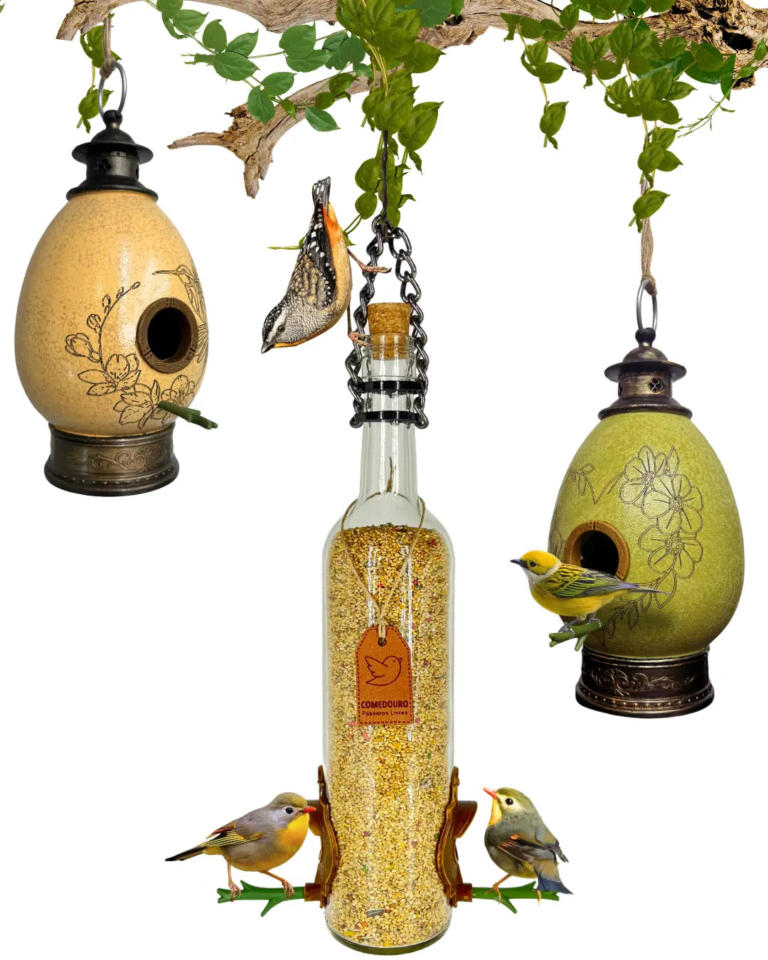Kit 3: CasaOvo + Comedouro Vinho Branco
