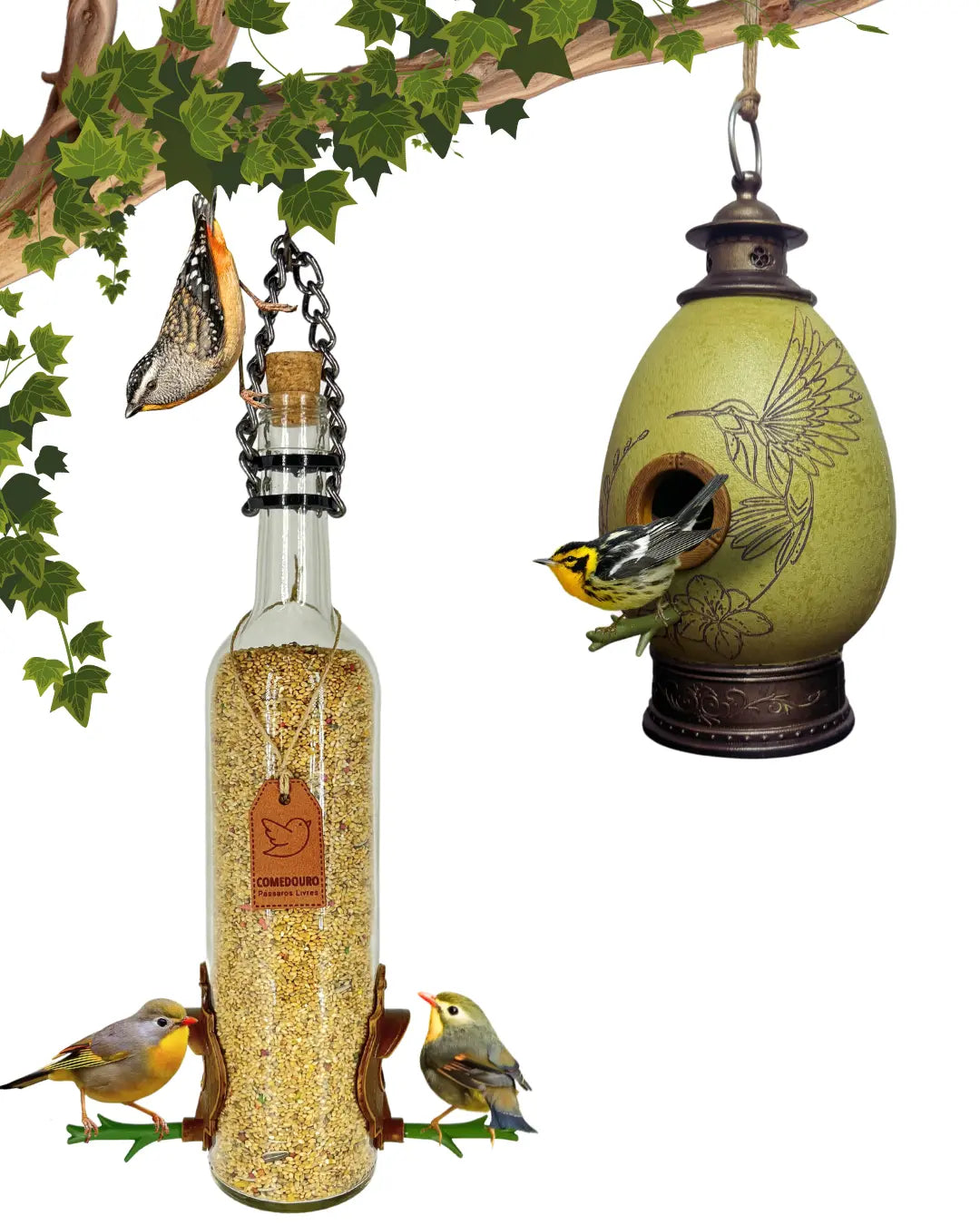 CasaOvo Beija-flor Verde + Comedouro Vinho Branco
