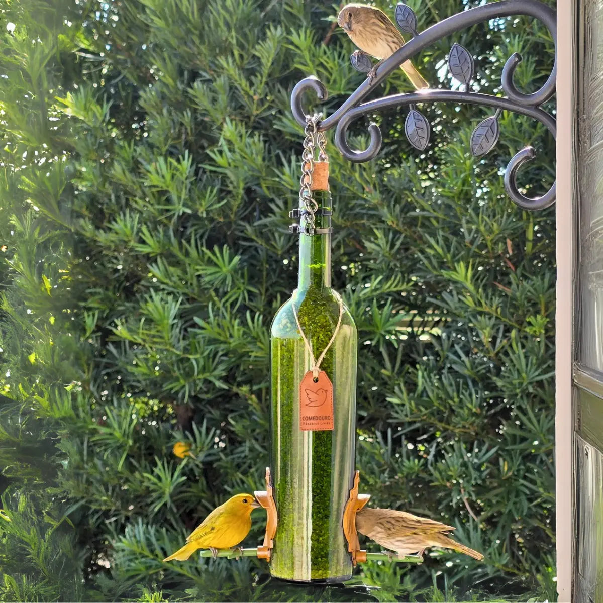 Kit 3: CasaOvo  + Comedouro­­  Vinho Verde