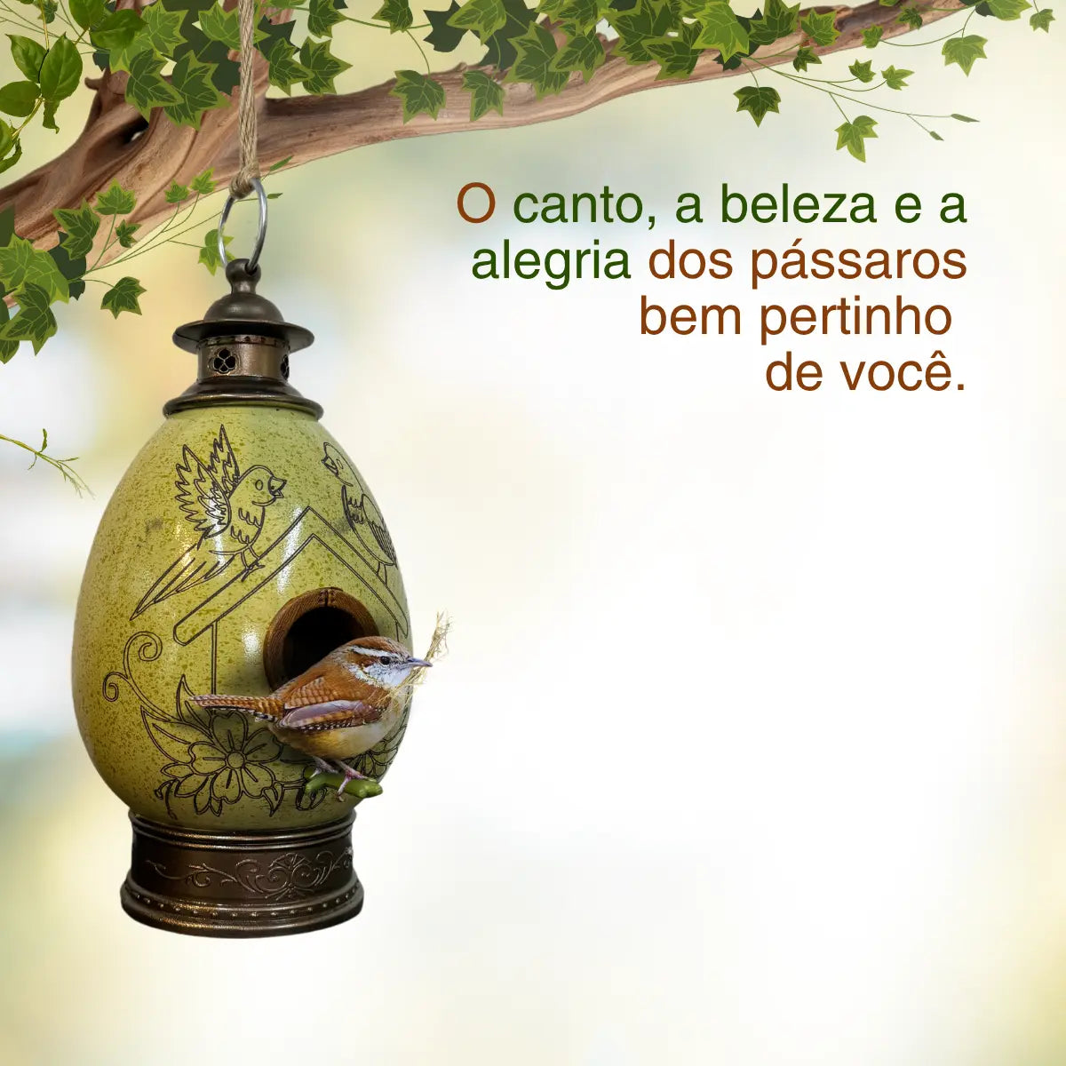 CasaOvo Pássaros Verde