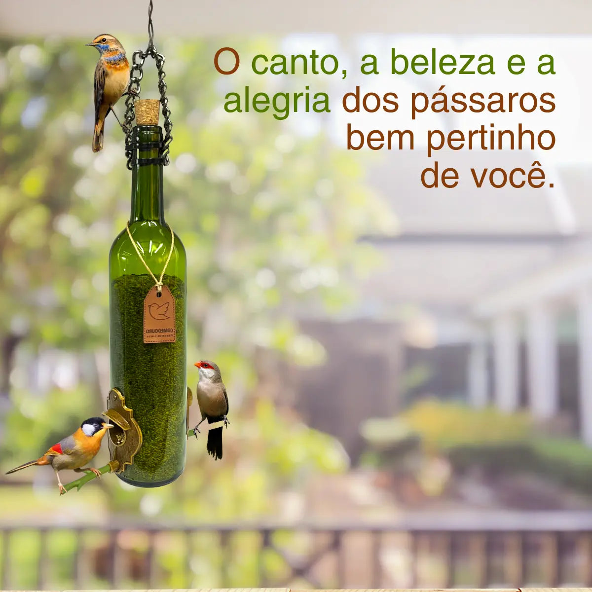 Vinho Verde
